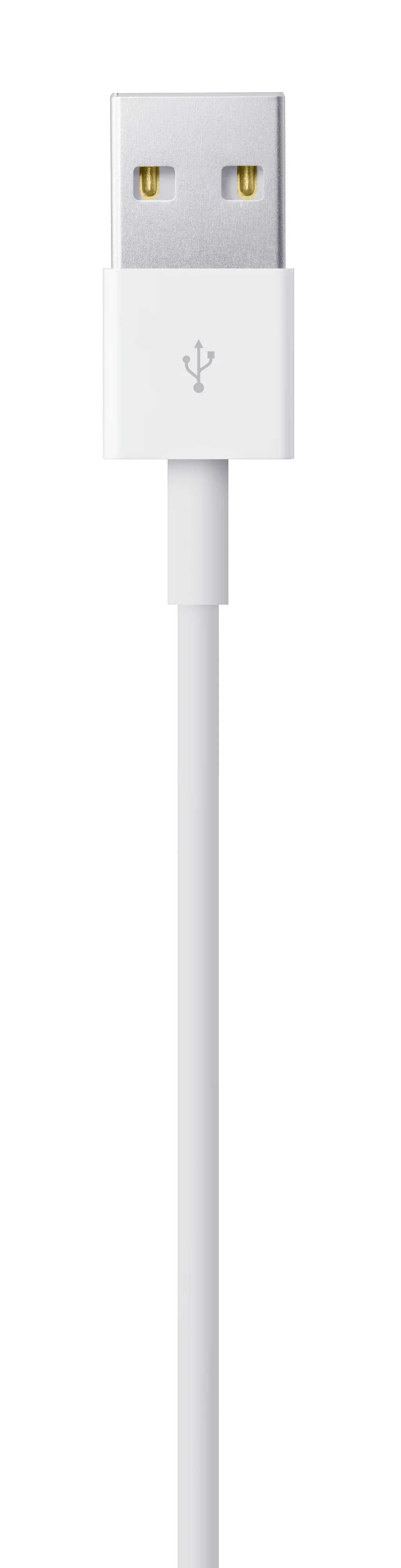 Cable Lightning a USB (1 m) - Image 4