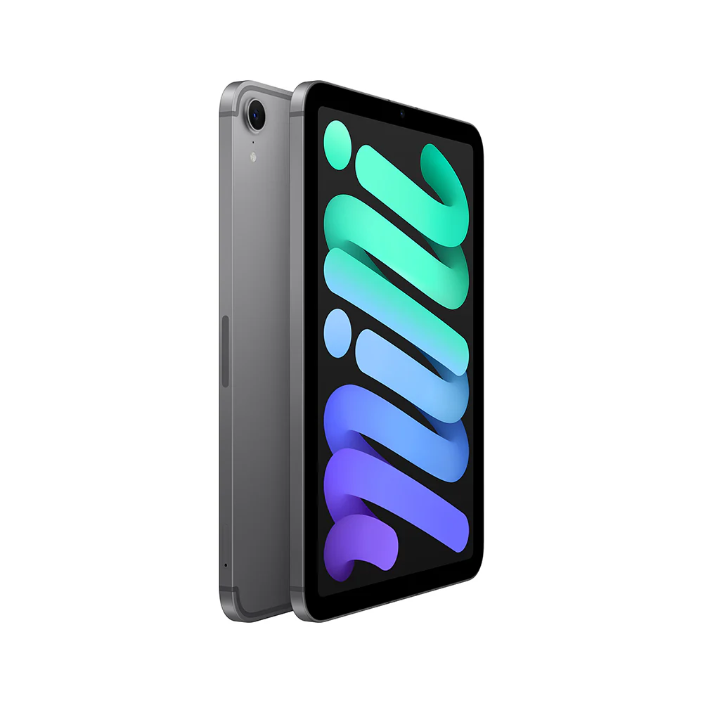 iPad mini Wi-Fi + Cellular 128 GB - Gris espacial (A17 Pro) - Image 3